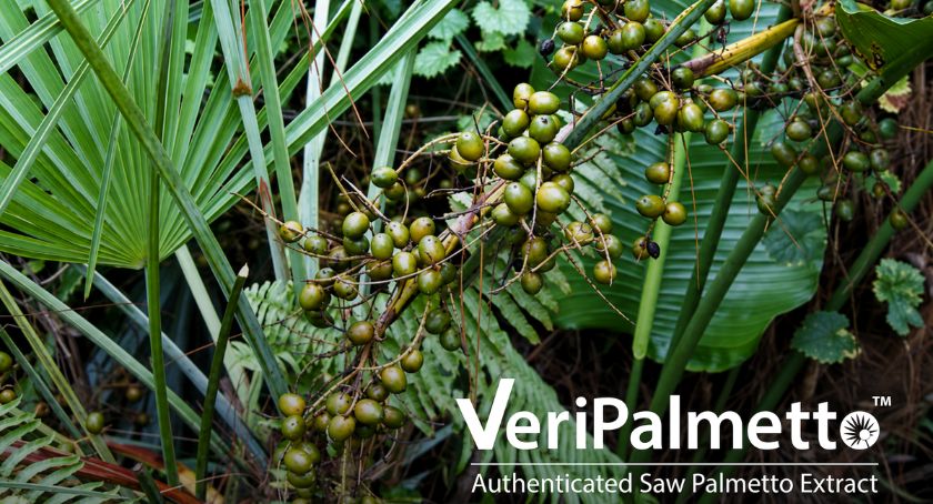 BioVivo Science Launches Standardized Saw Palmetto Line, VeriPalmetto